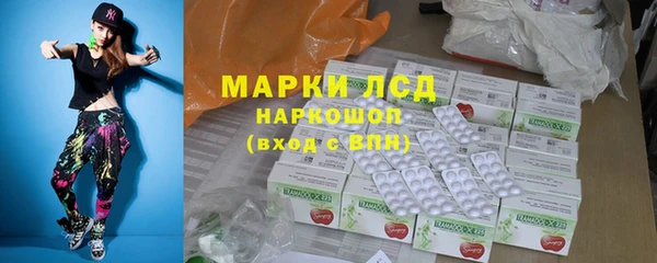 соль ск Каменногорск