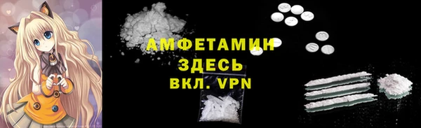 соль ск Каменногорск