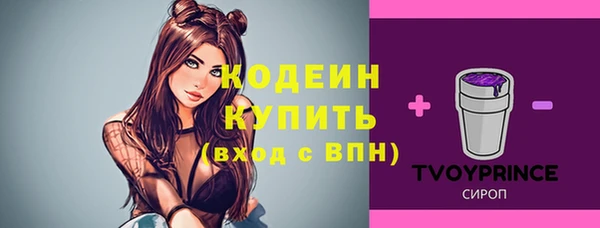 соль ск Каменногорск
