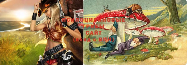 apvp Каменка