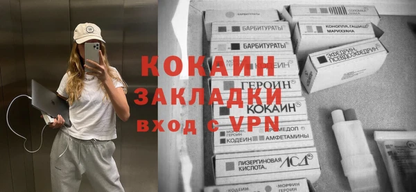 apvp Каменка