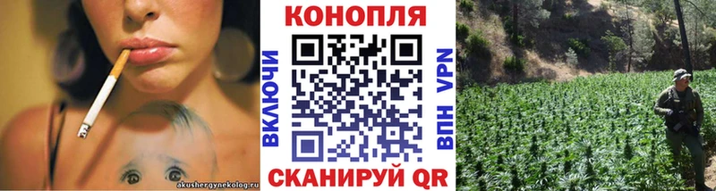 Канабис план  Купить где  Приморско-Ахтарск 